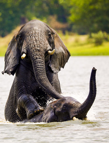 Explore-Malawi-Privat-Geführte-Safaris-Was-wir-anbieten-05
