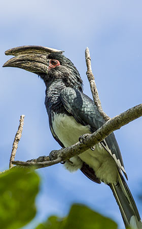 Explore-Malawi-Private-Guided-Safari-Tours-Itinerary-Malawi-Highlights-02