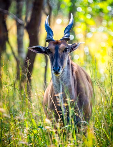 Explore-Malawi-Offerte-Aanvraag-privé-safari-met-chauffeur-en-gids-01