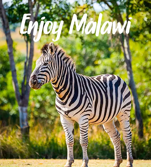 Contact-Explore-Malawi-Self-Drive-Privé-Rondreizen