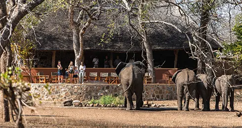 Explore-Malawi-self-drive-rondreis-hoogtepunten-van-malawi