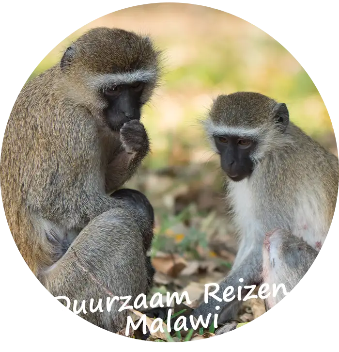 Duurzaam en verantwoord Reizen in Malawi