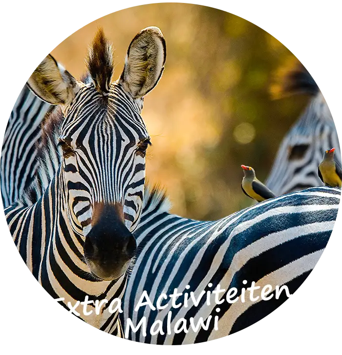 Extra Activiteiten Malawi