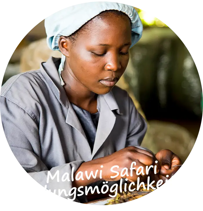 Malawi Safari Zahlungsmöglichkeiten