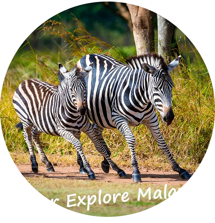 Over-Explore-Malawi-Ons-Verhaal