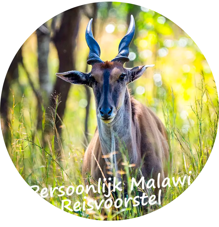 Persoonlijk Malawi Reisvoorstel